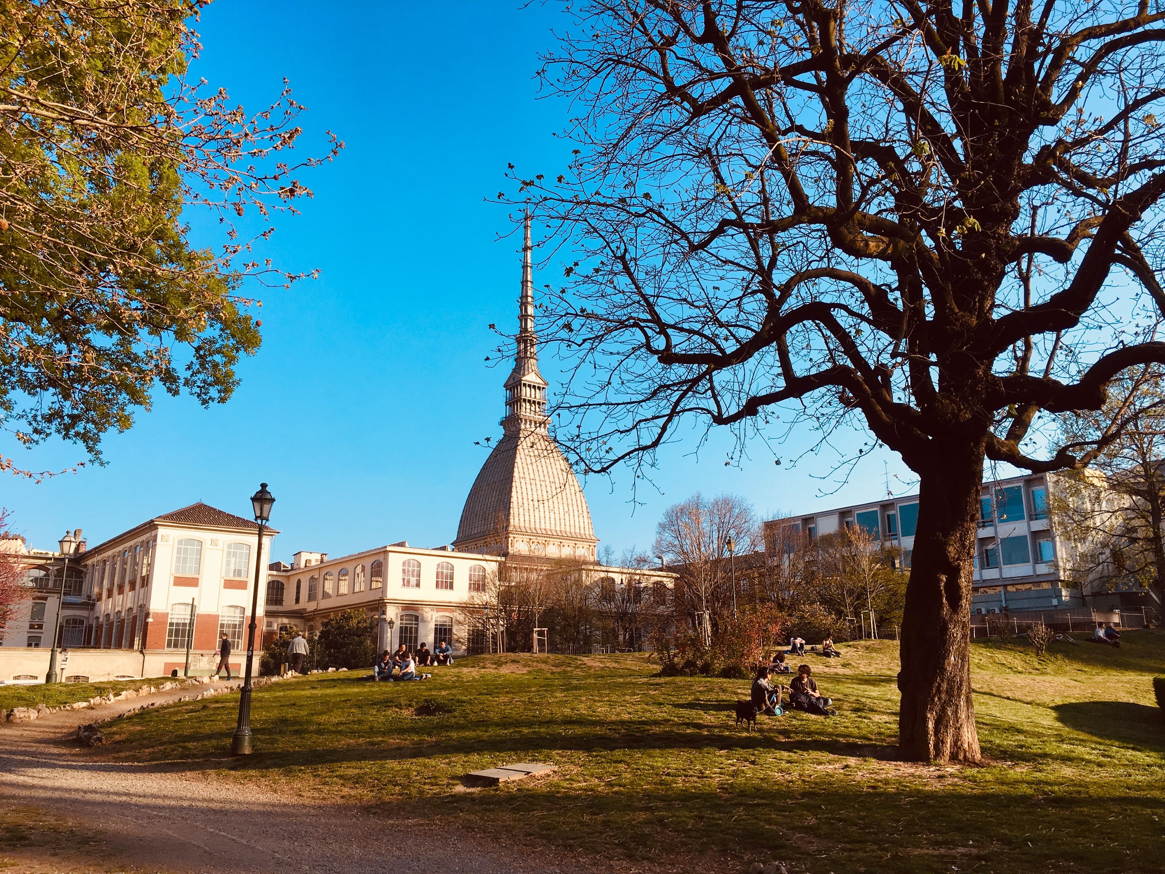 Veduta panoramica di Torino